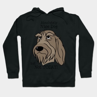 Spinone Italiano - Nice Dog Hoodie